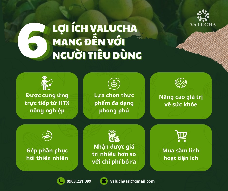 Valucha mang tới nhiều lợi ích sức khỏe cho người tiêu dùng nhờ canh tác nông nghiệp hữu cơ