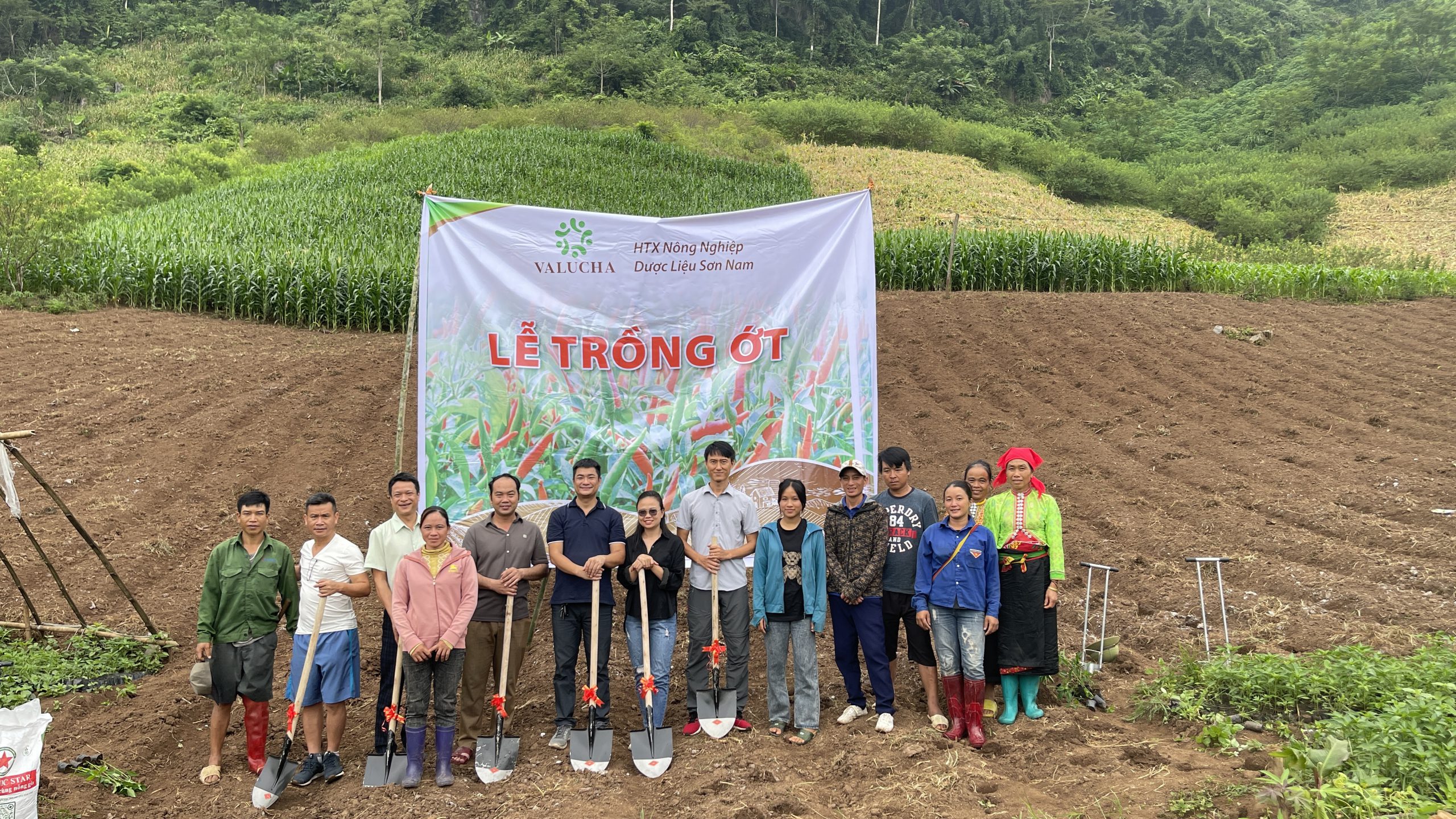 vùng nguyên liệu mộc châu của valucha