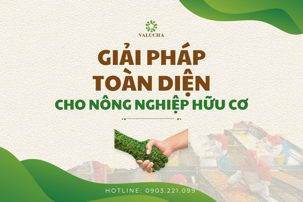 nông nghiệp hữu cơ