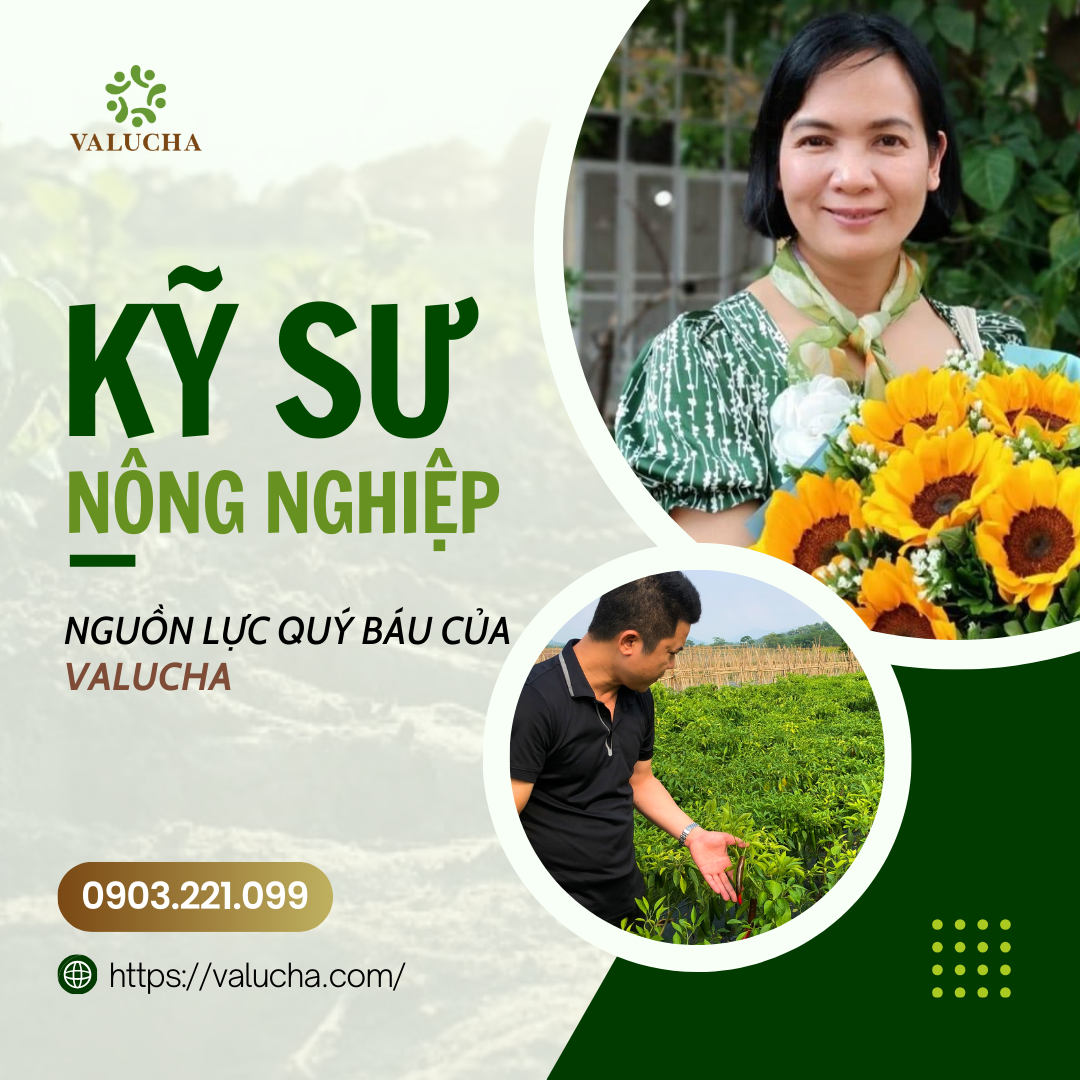 Chị Trần Thị Thanh Bình - Giám đốc TT hữu cơ của trường Đại học Lâm Nghiệp là một trong những kỹ sư nông nghiệp của Valucha