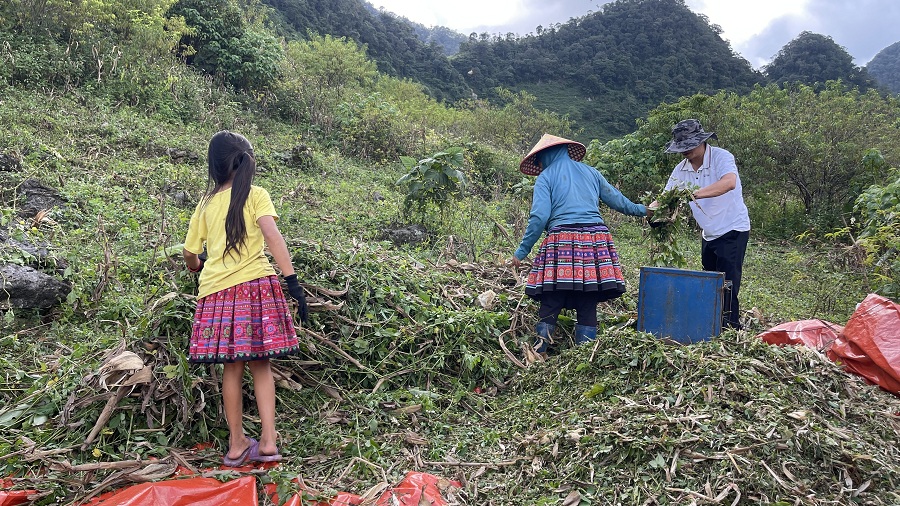 phân vi sinh hữu cơ