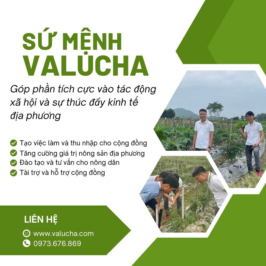 Sứ mệnh của Valucha là góp phần tích cực vào tác động xã hội và sự thúc đẩy kinh tế địa phương